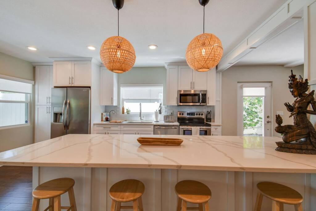 Luxury Home In The Heart Of South Tampa & Pool! Exterior photo